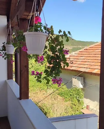 Arts - Beautiful For 8 Persons